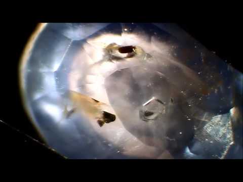 Unheated Sapphire VS Heated Sapphire