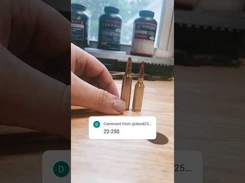 22-250, the best cartridge for the job?