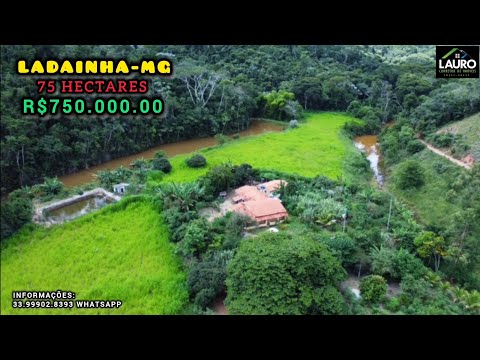 ✨️VENDO 15 ALQUEIRES REGIÃO POTE-MG VÍDEO ATUALIZADO COM DRONE✨️