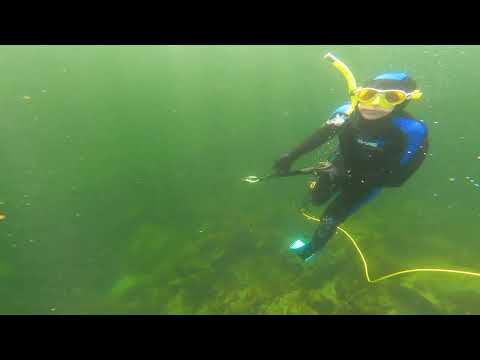 Joachim - En ung undervannsjeger