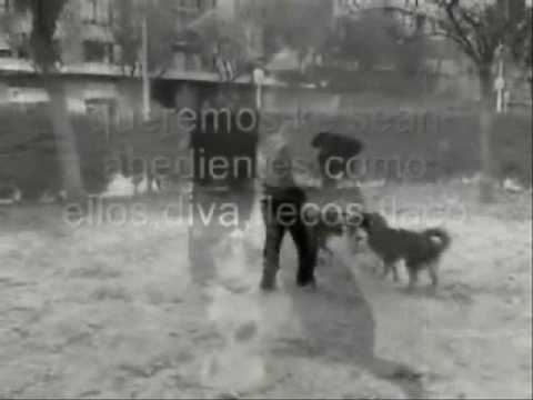 Michael Gray, Danism & Lisa Millett - Say Yes (Jennifer Lopez) Survival Dog 2017 No Vocal