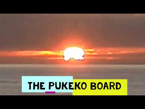 The Pukeko Board 29 05 MMXX