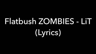 Flatbush Zombies - LiT (Lyrics)