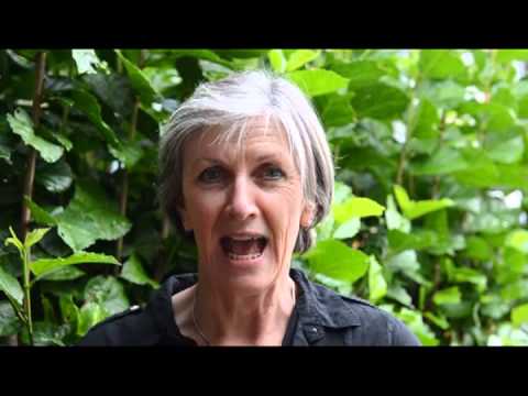 Gai Newman introduces Jennifer Ellis