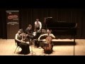 Schubert Notturno in E-flat, Op. 148 D. 897 (Namirovsky-Lark-Pae Trio)