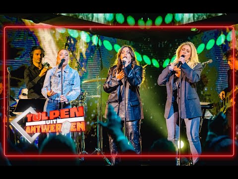 Tulpen uit Antwerpen: OG3NE met Koning Liefde van Tourist LeMC