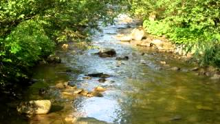 "Your smile on a sunny morning..." -My next short track