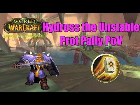 Hydross the Unstable Prot Paladin PoV - TBC Classic Phase 2