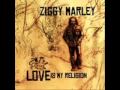 Ziggy Marley - Into The Grove
