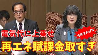 国民民主党 上田氏 再エネ賦課金取りすぎ今年も上がる 4/2 片山大臣