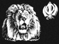 ‪Shera De Dereya Te‬‏ YouTube