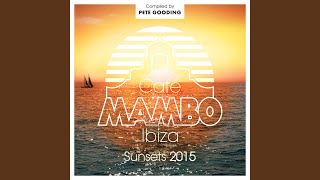 In For The Kill (Skream&#39;s Let&#39;s Get Ravey Remix)