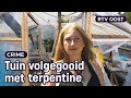 Grote ravage in 80 volkstuinen: vandalen slopen de boel | RTV Oost