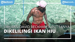 Intip Momen Liburan David Beckham dan Putranya di Bahama, Dikelilingi Segerombolan Hiu