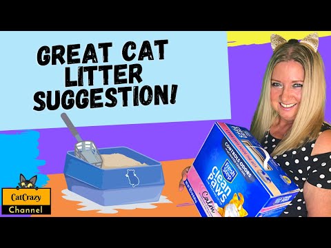 Why Do Cats Use Litter Boxes and Dogs Don't? 😻 CatCrazy