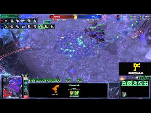 x5_PiG vs AcerMMA [ZvT] #HOTS