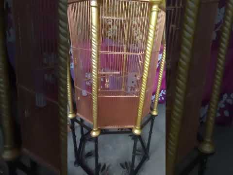 BC34 Decorative Golden Bird Cage