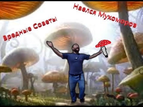 Школа 'Вредные советы' Наелся Мухоморов (съел мухомор)