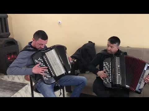 Škola harmonike Bojan Nešić, učenik Miloš Jovanović - Novo kolo