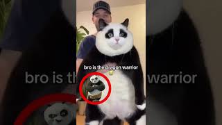 bro is the dragon warrior