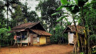 Download lagu WAH.. BIKIN KETAGIHAN !! MUSIM HUJAN DI PEDESAAN MEMANG MANTAP., INDAHNYA KAMPUNG YANG DI RINDUKAN mp3