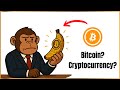 Cryptocurrency and Bitcoin Explained with Bananas 🍌 (By Money Monkey Mark)