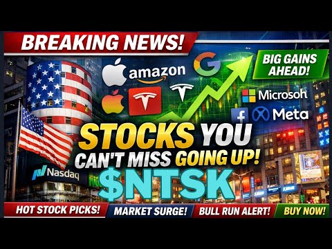 Netskope Inc(NTSK) Stock Price Today