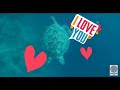 ABS CBN Cebu Summer Station ID 2018