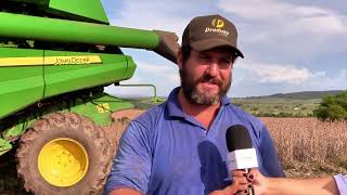 Atraso na colheita de soja prejudica plantio de milho em Mato Grosso