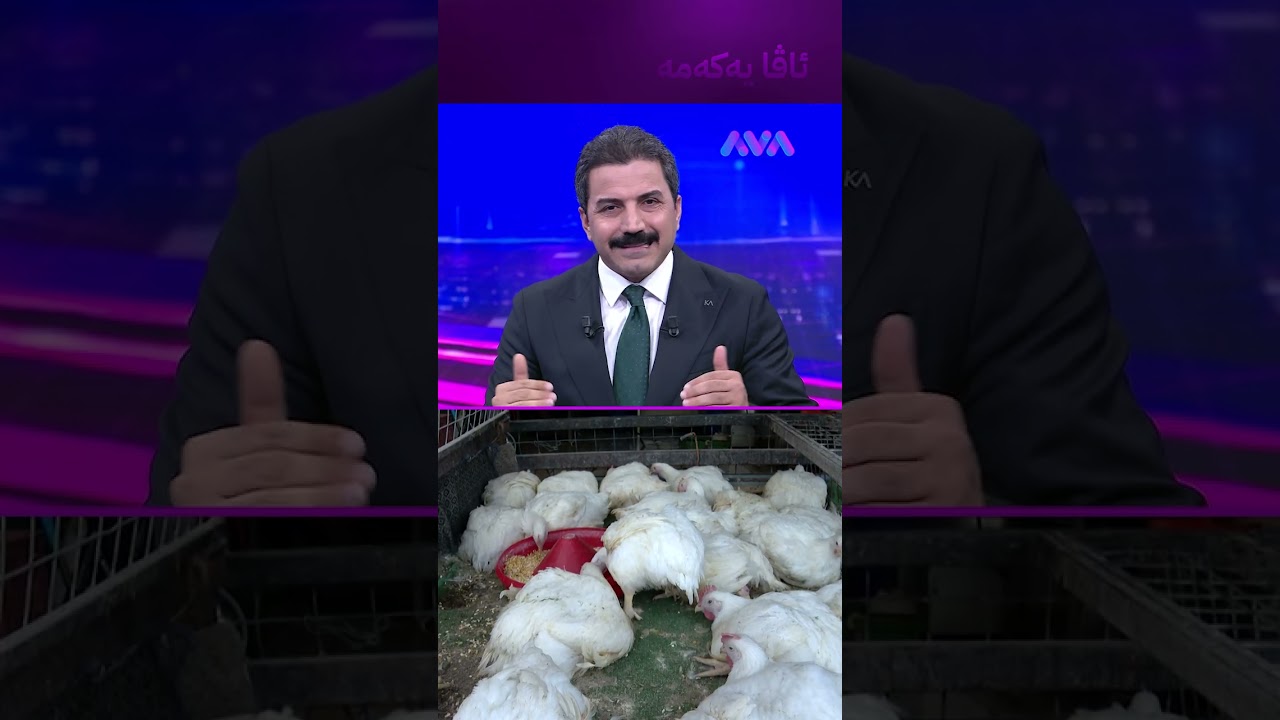 ڤیدیۆ | نرخی مریشک کەی هەرزان دەبێت؟