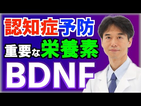 アプリで学ぶ:大人のための脳細胞トレーニング