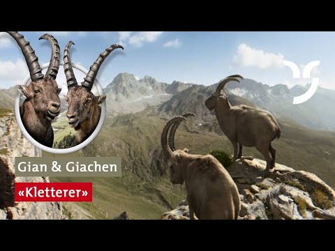 Steinbock Spot "Kletterer" mit Gian und Giachen