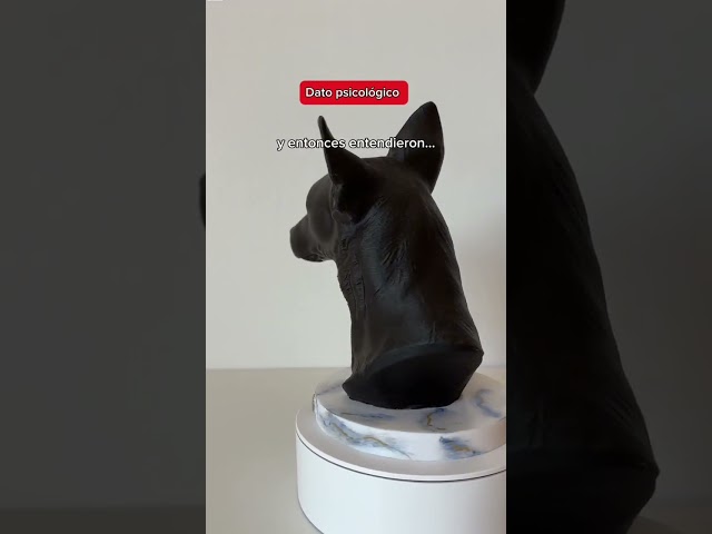 Vídeo relacionado con mydedor Figura 3D personalizada para fotógrafo, figura 3D hecha a mano, estatua de cuerpo completo de arcilla polimérica con mini cámara DSLR, regalo para decoración de escritorio de jubilación de