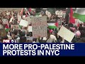 More Pro Palestine Protests In Manhattan