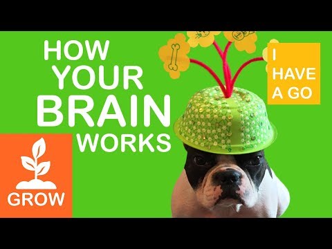 How Your Brain Works for Kids | Growth Mindset and Neuroscience for Kids | I HAVE A GO
