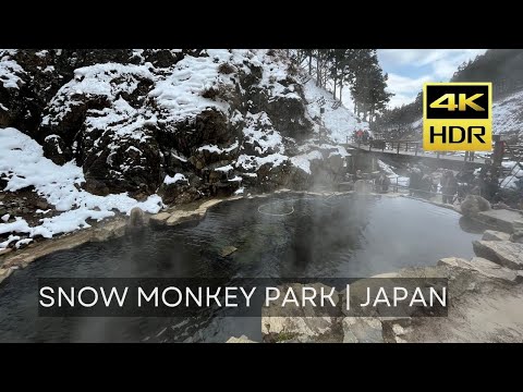 [4K HDR] Walk to Snow Monkey Park | Japan