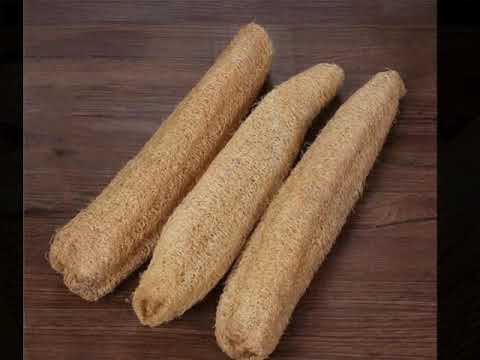 Natural Organic Touri Loofah Scrubber for Home , Spa,Salon ,
