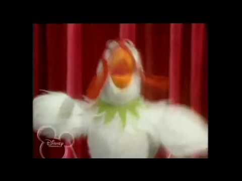 Kermit gets turned into a chicken and Gonzo reacts exactly like you'd expect him to
