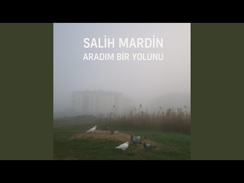 Aradım 1 Yolunu (feat. Altay Tamur)
