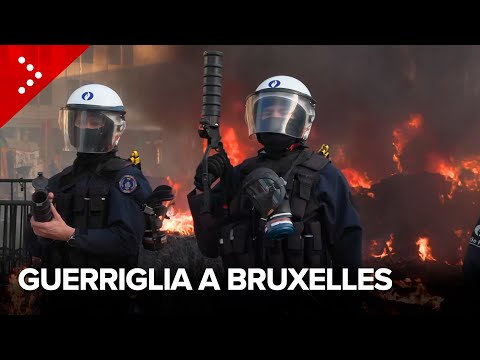 Rioting erupts in front of the European Parliament as farmers continue to protest in Brussels