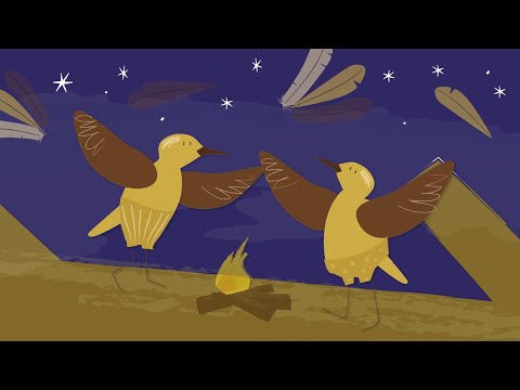 Milonga del hornero - Canciones para Soñar | Petits Habitants