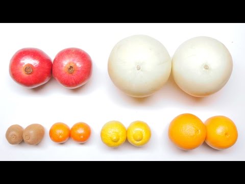 The Great American Oreo Taste Test