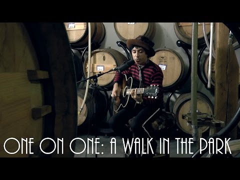 ONE ON ONE: Pete Molinari - A Walk In The Park February 28th, 2015 City Winery New York