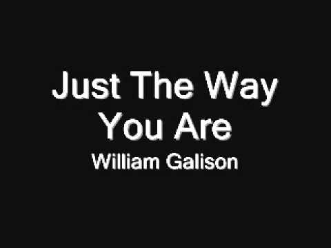 Just The Way You Are - William Galison