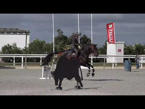 Prova velocidade Habil - Trofeu APSL - Golega