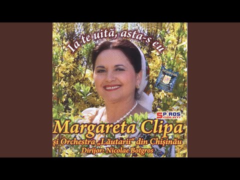 Bade-al Meu Cel Megieș