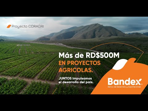 Bandex | El valor de lograr algo JUNTOS