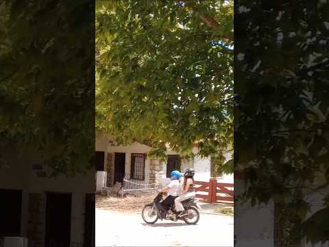 Preciosa Naturaleza en barrio San Jorge, Valle Hermoso, Córdoba, Argentina.#vallehermoso