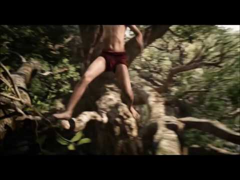 XXI INTERMEDSUL- Deixe a sainha em tubarão