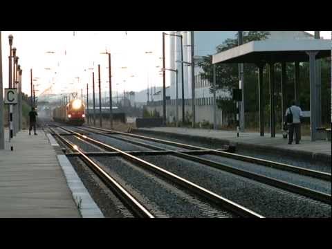 Comboio de Contentores n.º 80384/5 - Riachos